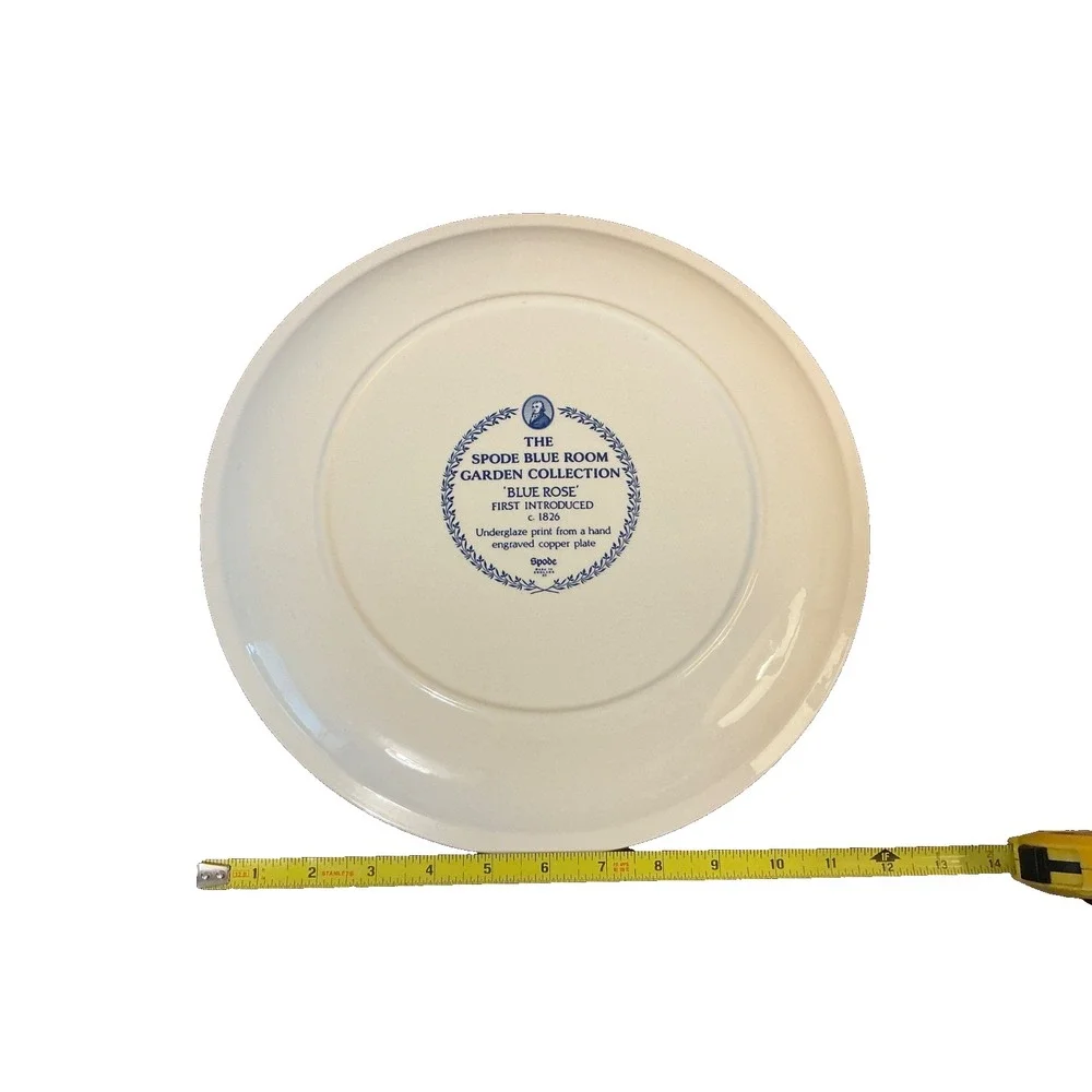 Spode BLUE ROOM GARDEN COLLECTION  Individual Pasta Bowl Yellow Blue Floral